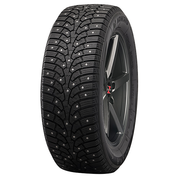 235/40R19 96T NANKANG SW-9