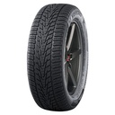 255/35R21 98W NANKANG WINTER ACTIVA SV-4 XL